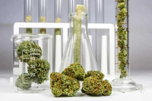 Science, Safety, Research, Technology and Cannabis - The Increasingly Legal, Medical and Recreational Use of Marijuana