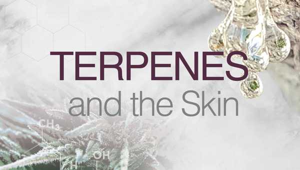 Terpenes and the skin